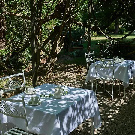 Hotel Ciconia 4*