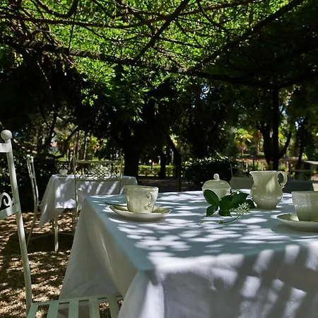 Hotel Ciconia