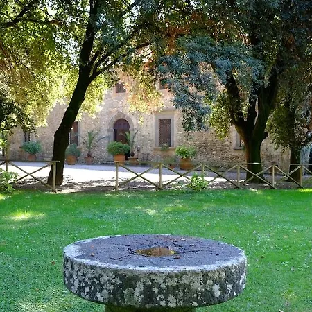 Ciconia 4*