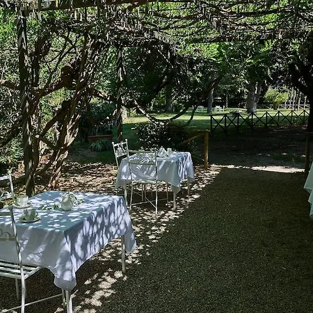 Hotel Ciconia 4*