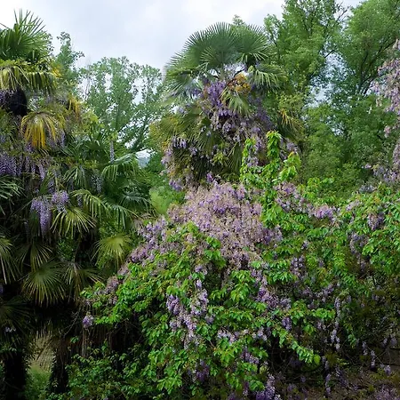 Ciconia Ξενοδοχείο 4*