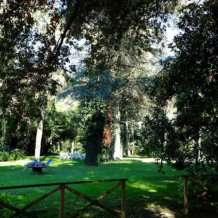 Ξενοδοχείο Ciconia 4*