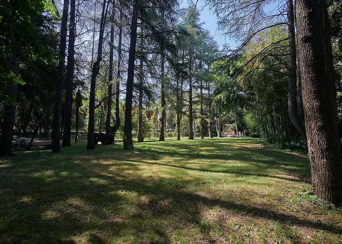 호텔 Ciconia 오르비에토